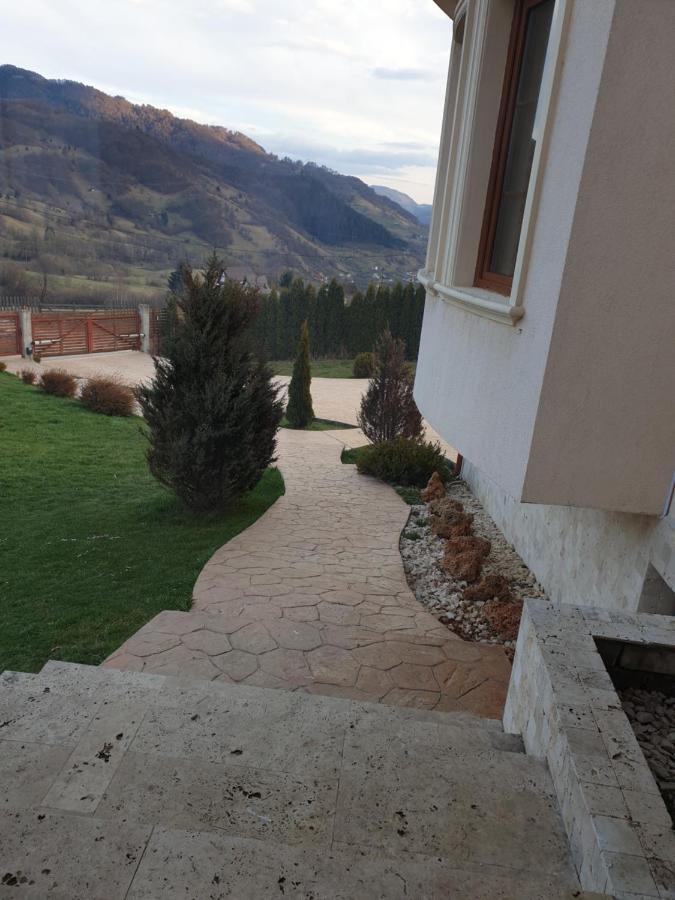Vila Daria 3 Rucar  Bagian luar foto