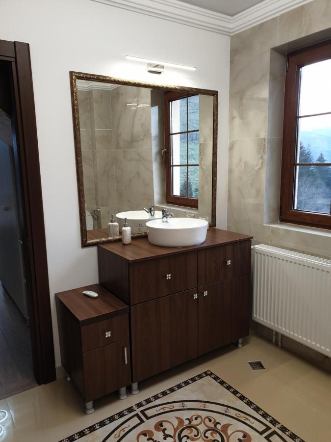 Vila Daria 3 Rucar  Bagian luar foto