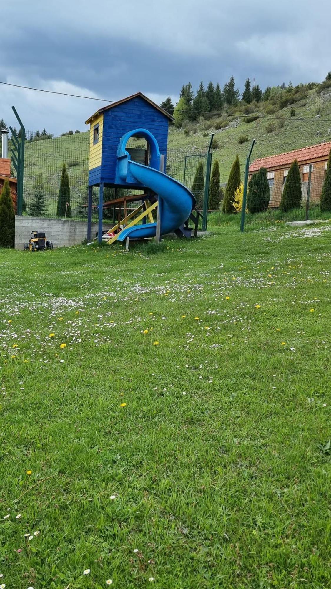 Vila Daria 3 Rucar  Bagian luar foto